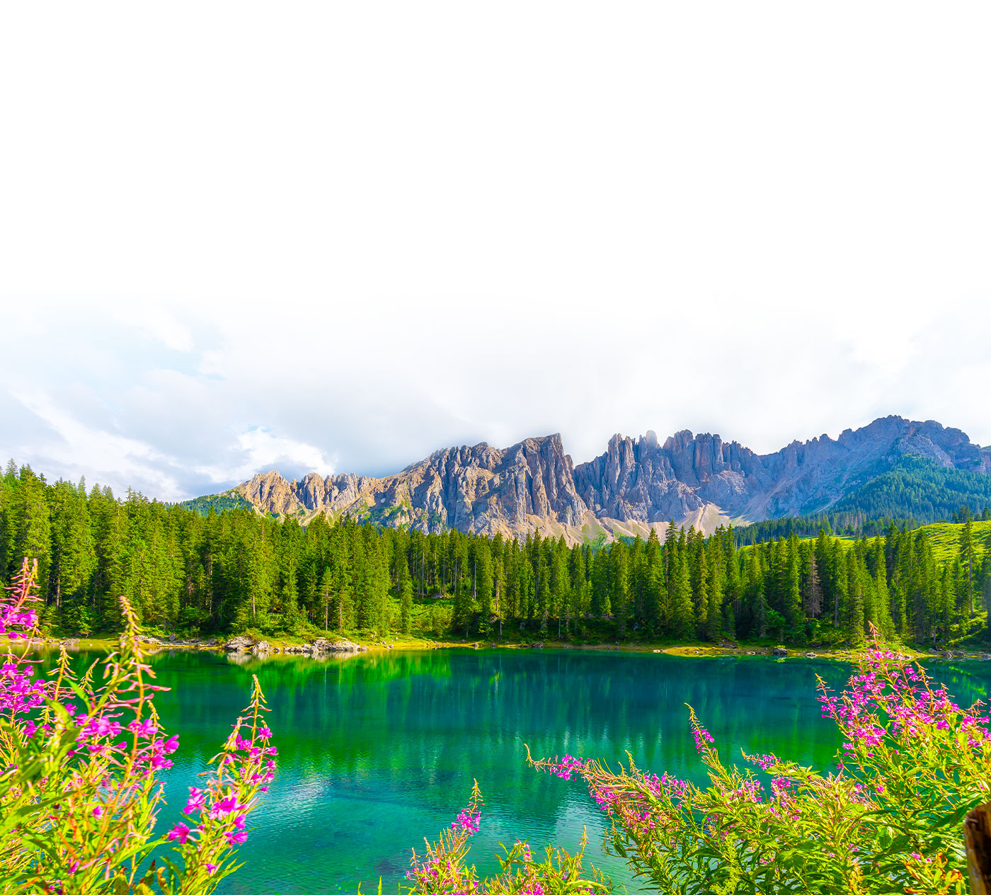 carezza02_2